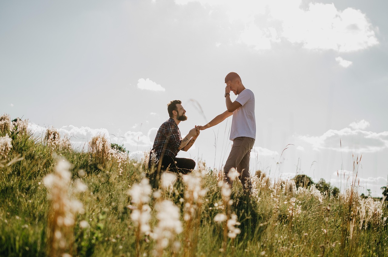 lovers, proposal, meadow, outdoors, nature, gay couple, couple, relationship, pride, lgbtqia, love, love is love, equal rights, lgbtiqa, pride month, world pride