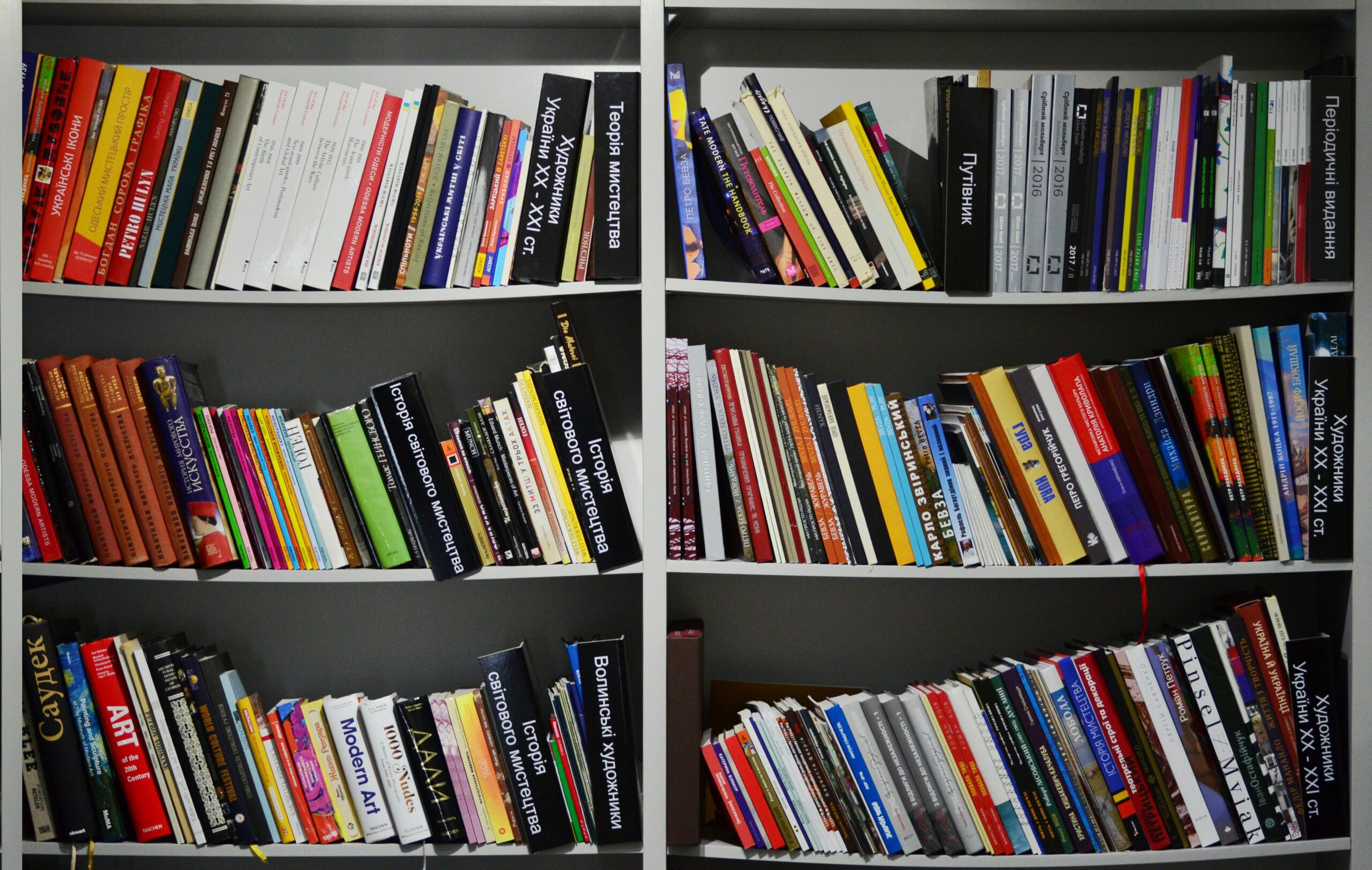 Diverse collection of books on neatly organized shelves in a bookstore setting.