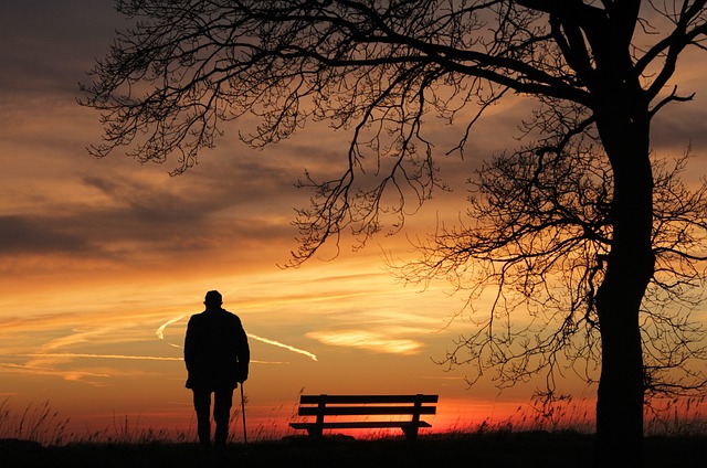 sunset, tree, nature, silhouette, dusk, lonely, evening atmosphere, mood, the atmosphere, peaceful, alone, sad, quiet, eve, silence, peaceful mood, man, old man, bank, races, rest