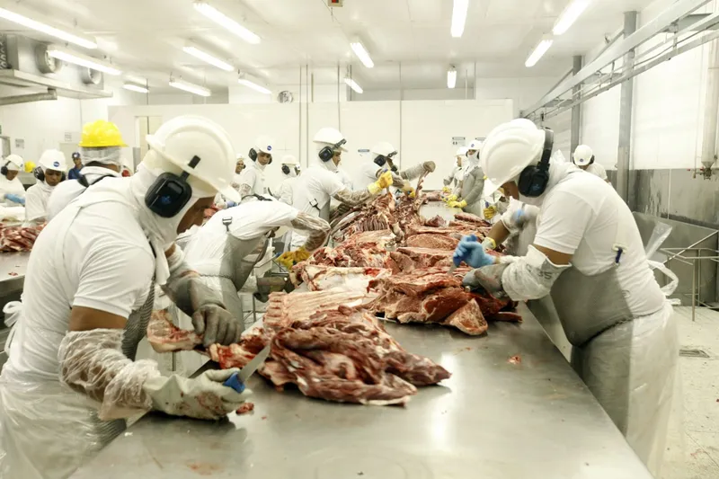 Quando o trabalho adoece: o crescimento silencioso dos processos trabalhistas em Santa Catarina